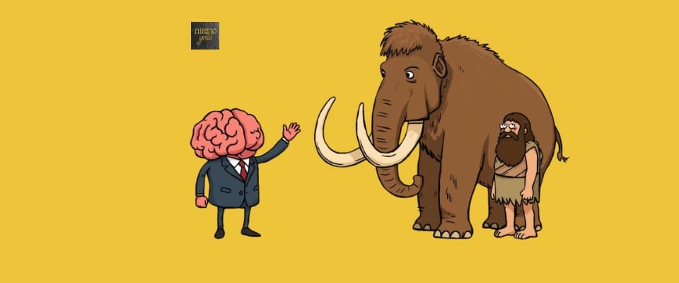 Was ist das Steinzeitgehirn?